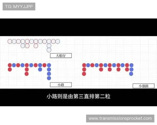 掌握百家乐大小规则提升你的游戏胜率和实战经验技巧指南 掌握百家乐大小规则提升你的游戏胜率和实战经验技巧指南