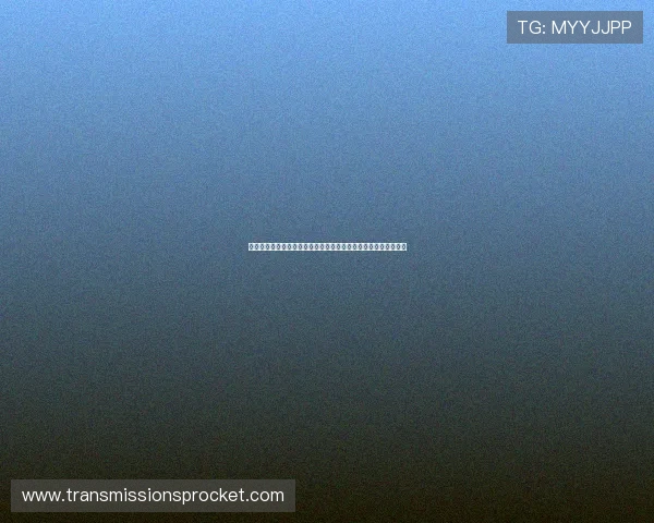 深入分析百家乐预测算法的原理与实现方式助你掌握科学投注策略