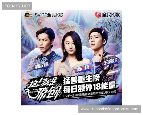 提升视讯娱乐评测网登录成功率的实用技巧与常见问题排查方法全攻略