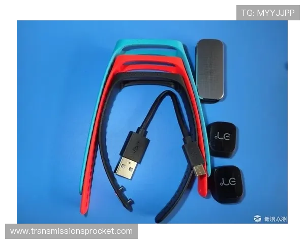 PA网址视讯平台最新安全登录指南帮助玩家轻松畅享高清直播体验