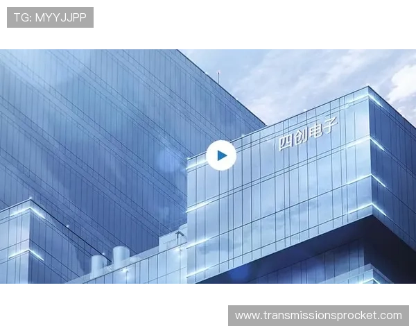 PA视讯集团全面解析其在网络游戏行业中的发展战略与市场布局
