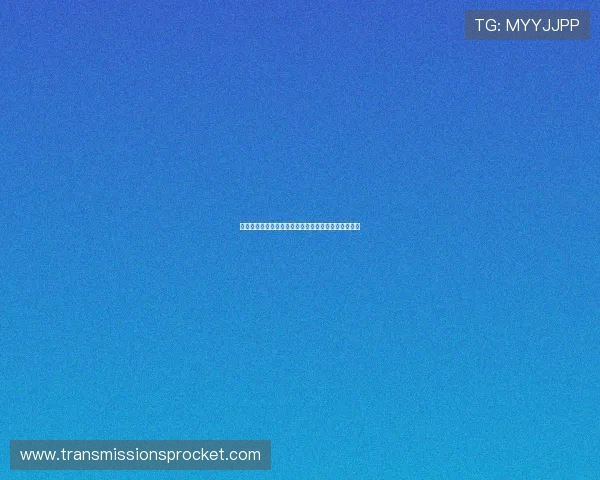 世界杯加拿大对阵卡塔尔比赛详细赛程安排及观看指南