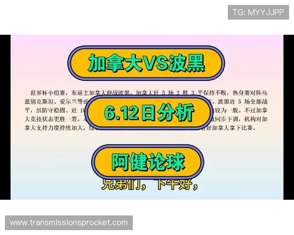 加拿大对波黑阵容预测：专家解析双方主力球员及潜在战术调整方案