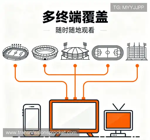 为什么选择我们